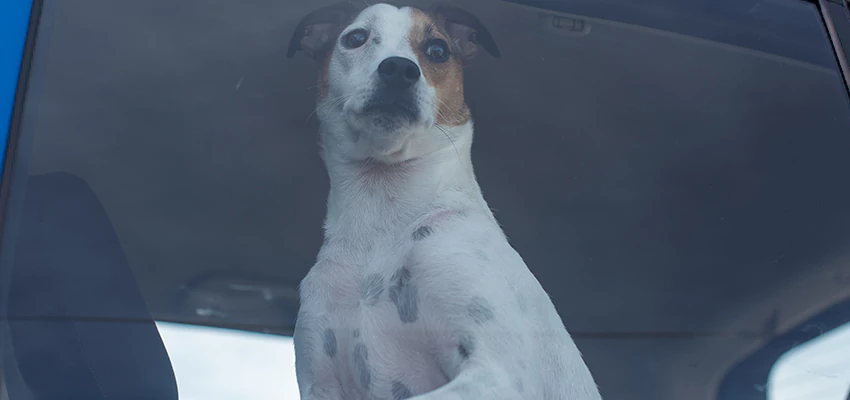 Car Lockout Solutions in Pleasanton, California