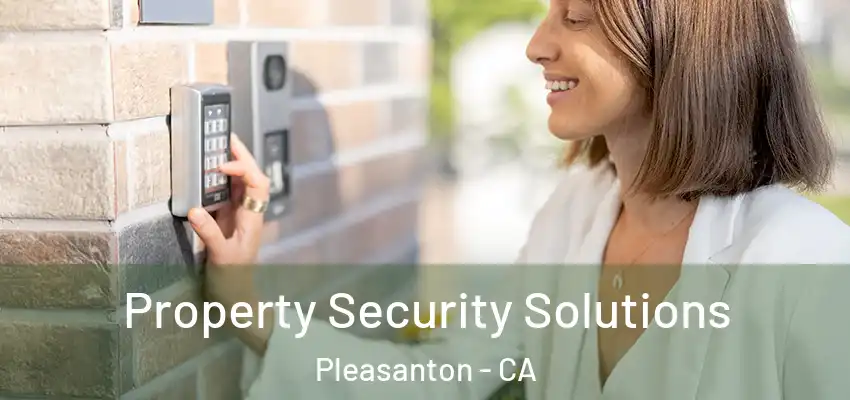  Property Security Solutions Pleasanton - CA